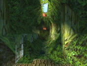 The Croft Woman Return