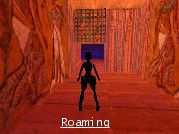 Roaming - Voir l'agrandi ...